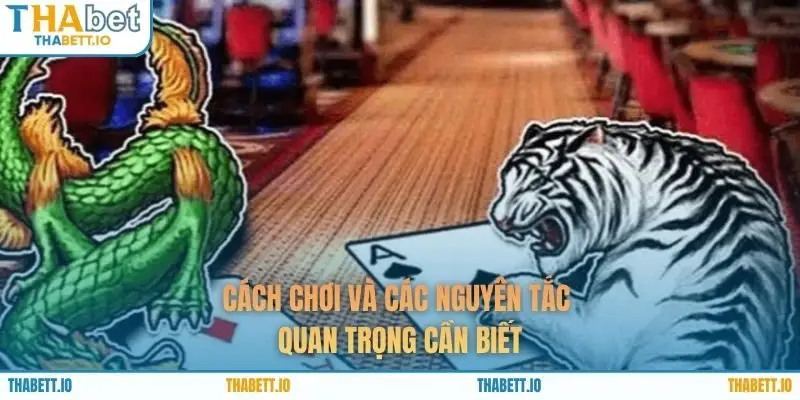 Cách chơi và các nguyên tắc quan trọng cần biết