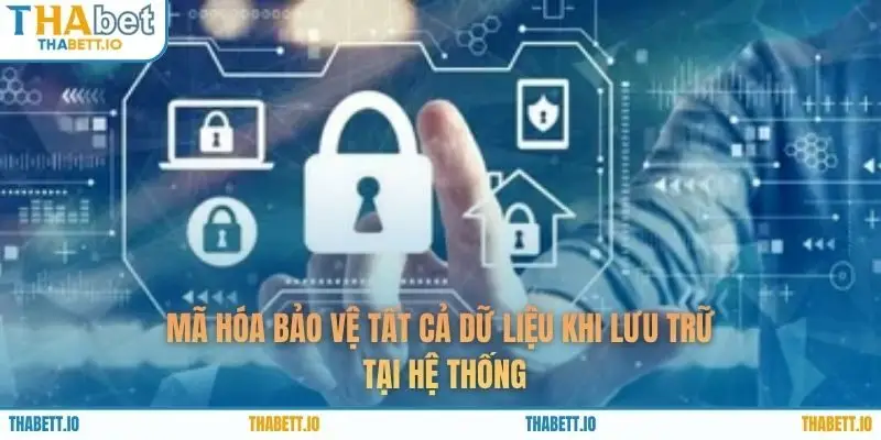 Mã hóa bảo vệ tất cả dữ liệu khi lưu trữ tại hệ thống