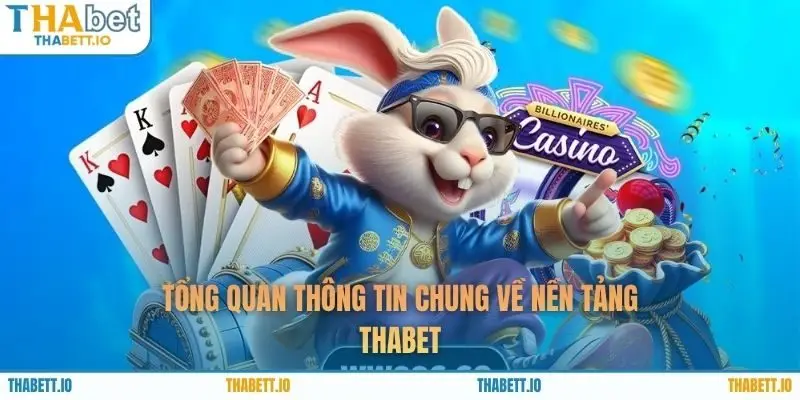 Tổng quan thông tin chung về nền tảng THABET